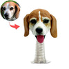 Tableau de bord de voiture personnalisé avec chien Bobblehead