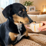 Tasse à café personnalisée pour chien et chat avec figurine d'animal de compagnie faite main