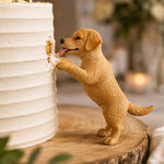Décoration de gâteau amusante représentant un chien qui mange - Topper de gâteau pour chien